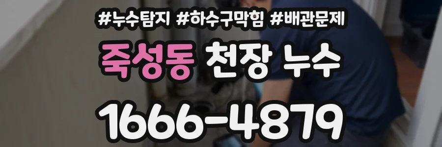 죽성동 천장 누수