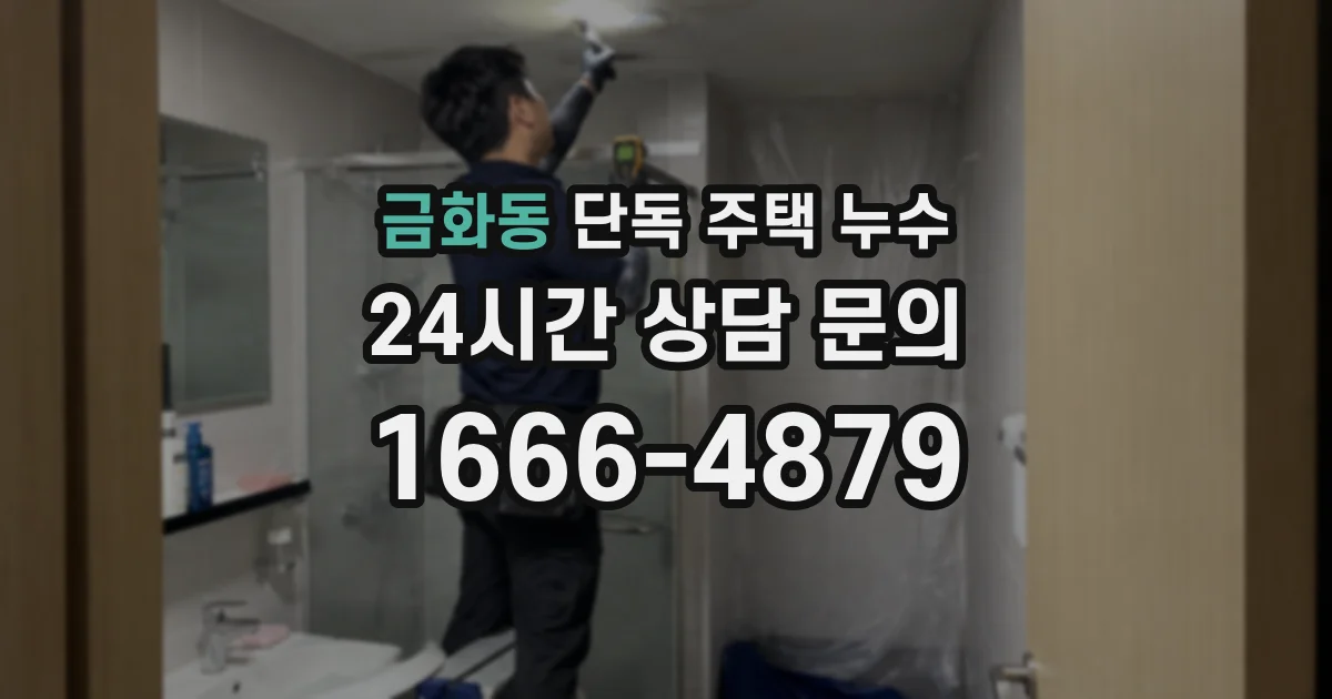 금화동 단독 주택 누수
