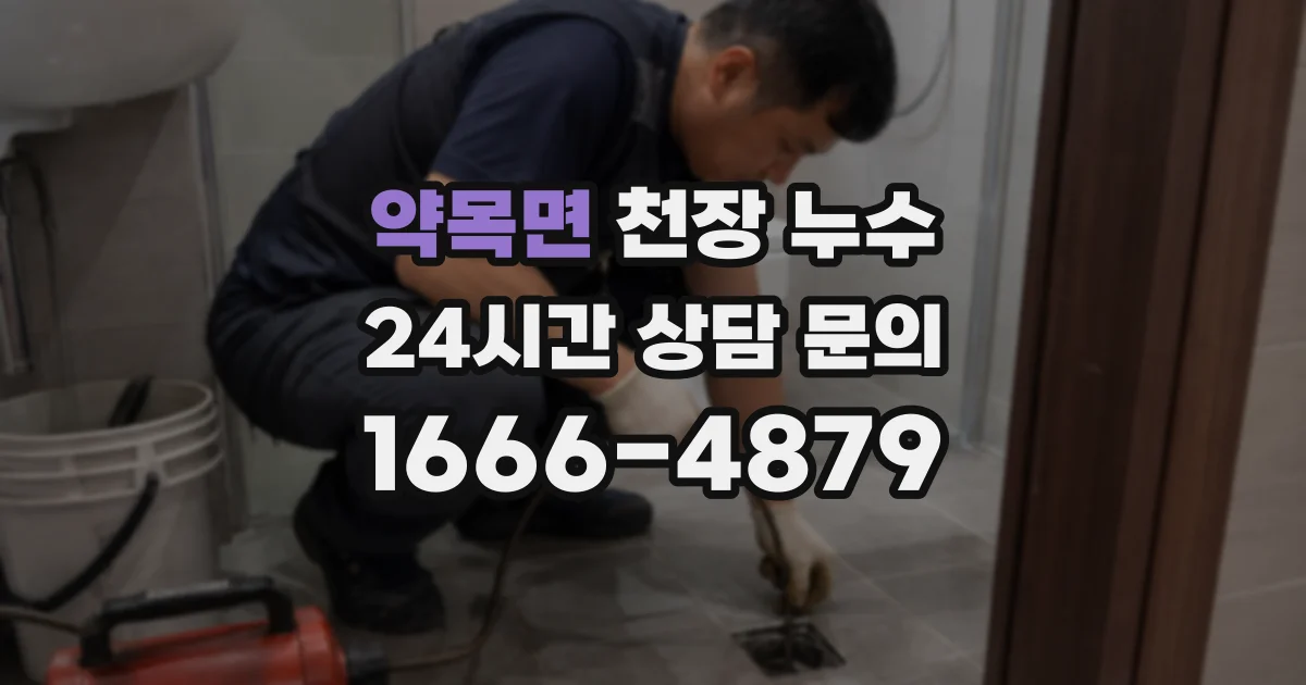약목면 천장 누수