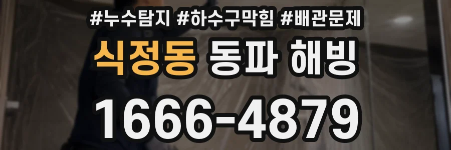 식정동 동파 해빙