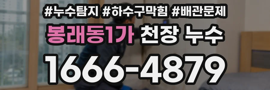 봉래동1가 천장 누수
