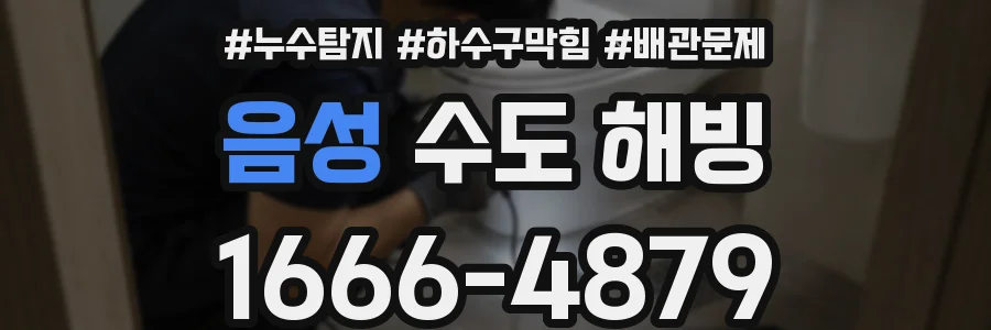 음성 수도 해빙