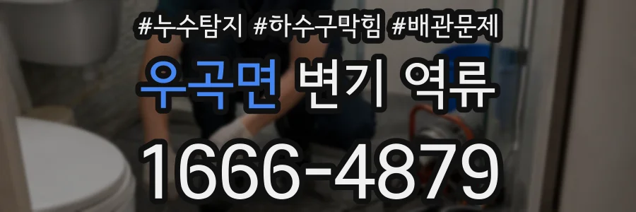 우곡면 변기 역류