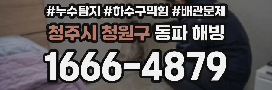 청주시 청원구 동파 해빙