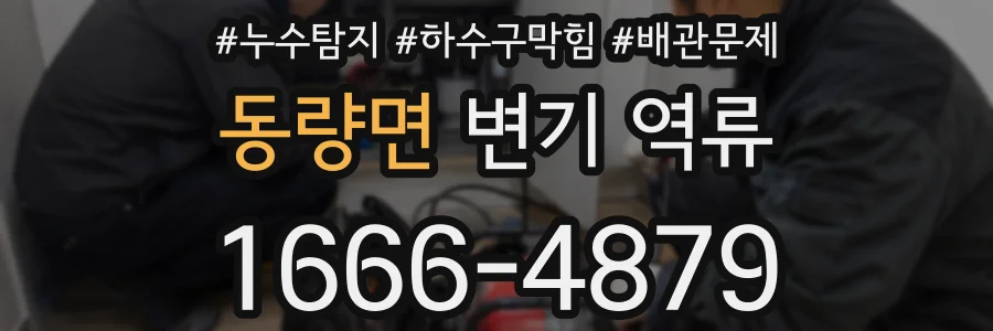 동량면 변기 역류