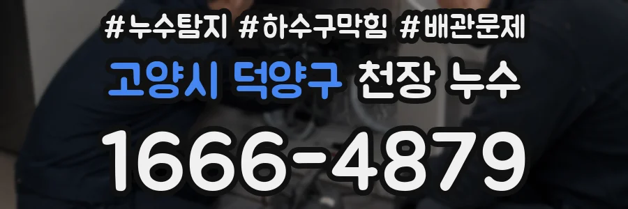 고양시 덕양구 천장 누수