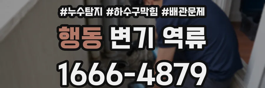행동 변기 역류