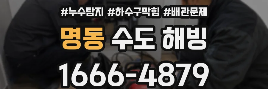 명동 수도 해빙