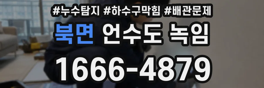 북면 언수도 녹임