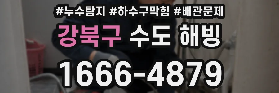 강북구 수도 해빙