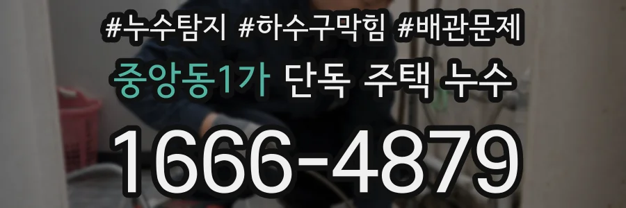 중앙동1가 단독 주택 누수