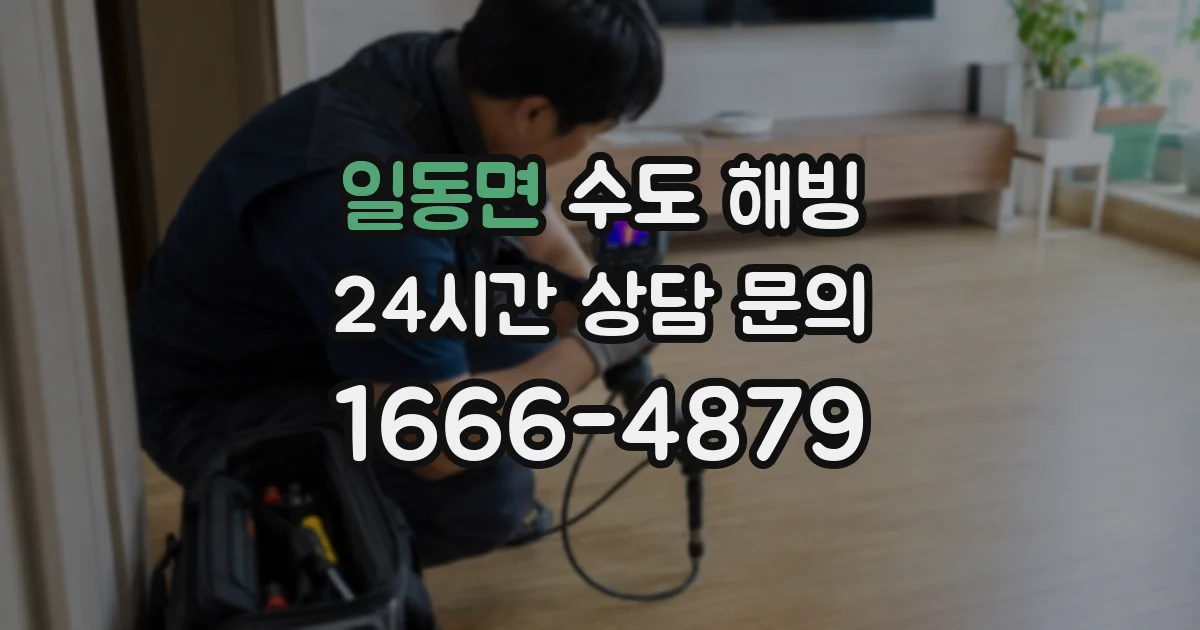 일동면 수도 해빙