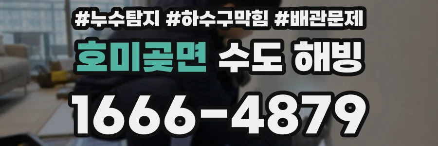 호미곶면 수도 해빙