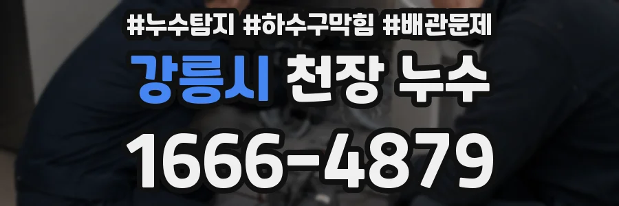 강릉시 천장 누수