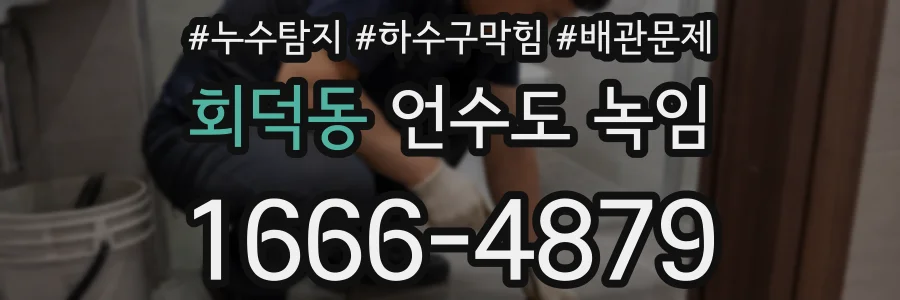 회덕동 언수도 녹임