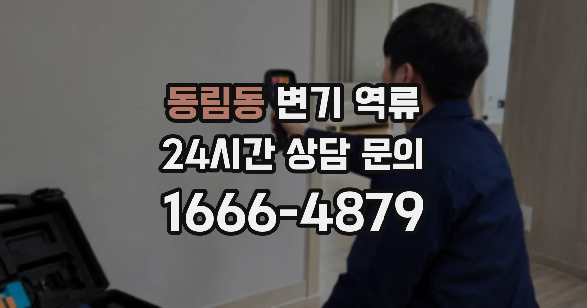 동림동 변기 역류