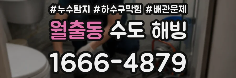 월출동 수도 해빙