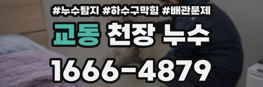 교동 천장 누수