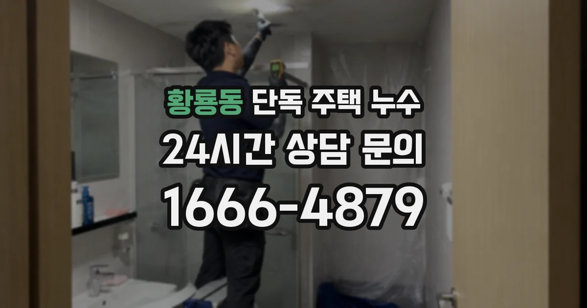 황룡동 단독 주택 누수