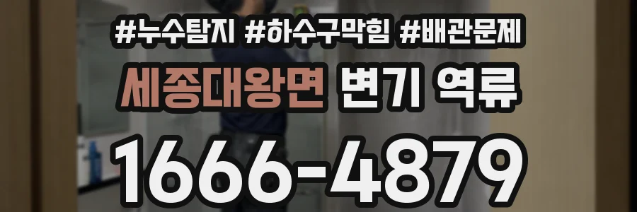 세종대왕면 변기 역류