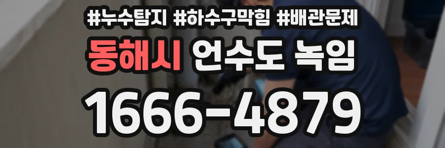 동해시 언수도 녹임