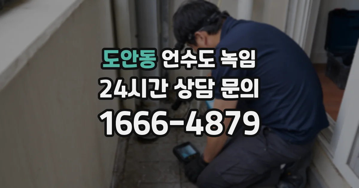 도안동 언수도 녹임