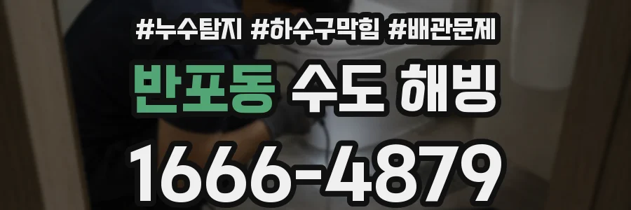 반포동 수도 해빙