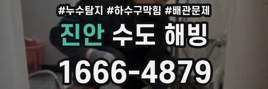 진안 수도 해빙