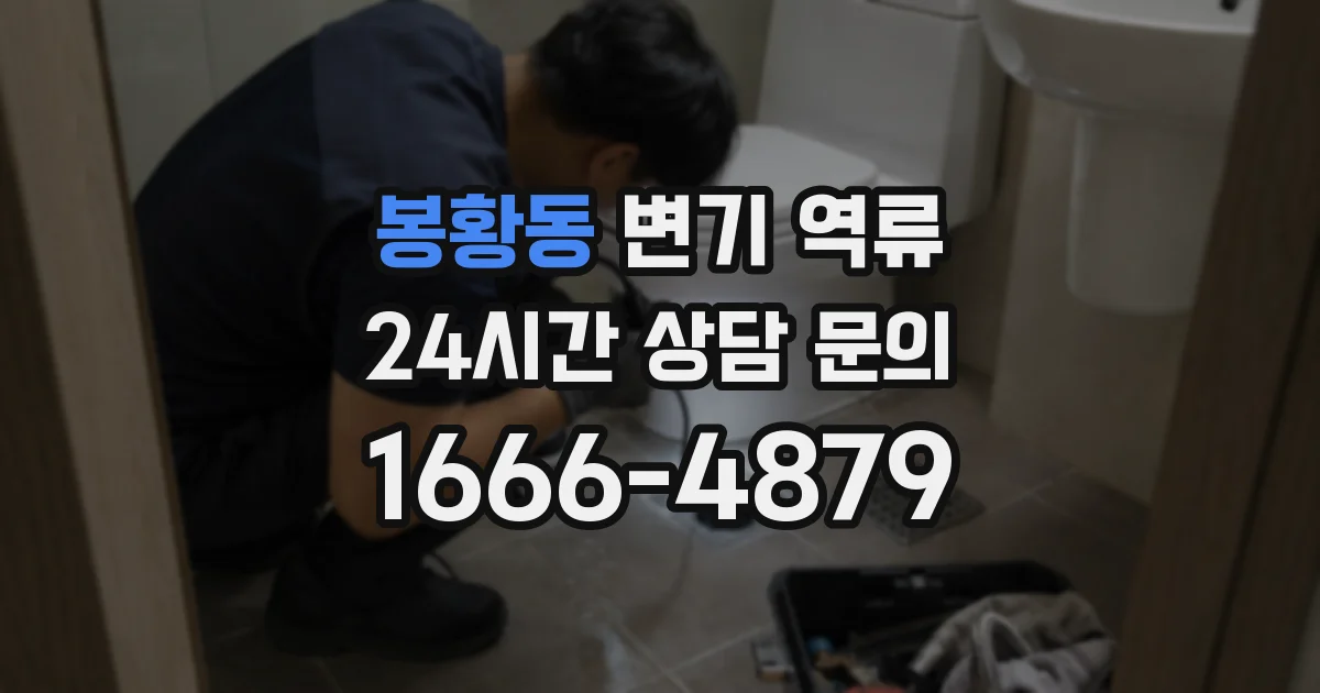 봉황동 변기 역류