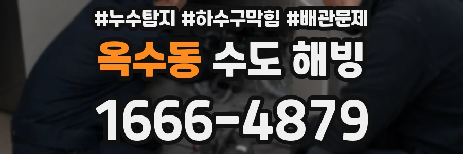 옥수동 수도 해빙