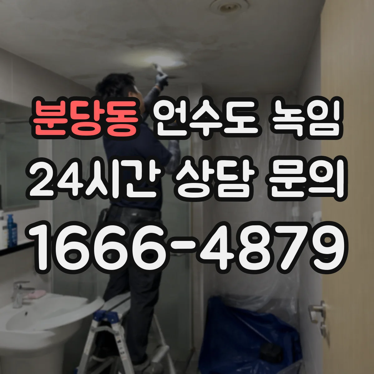 분당동 언수도 녹임
