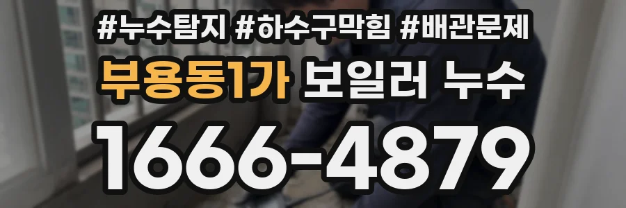 부용동1가 보일러 누수