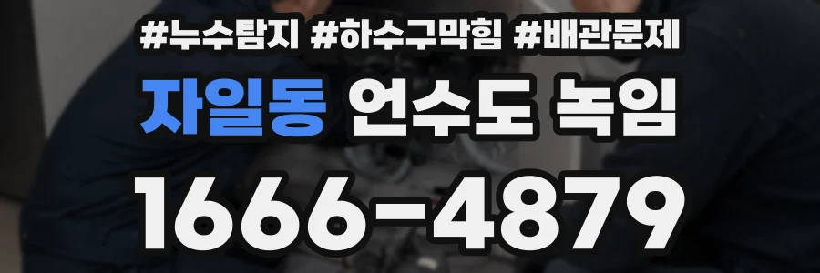 자일동 언수도 녹임