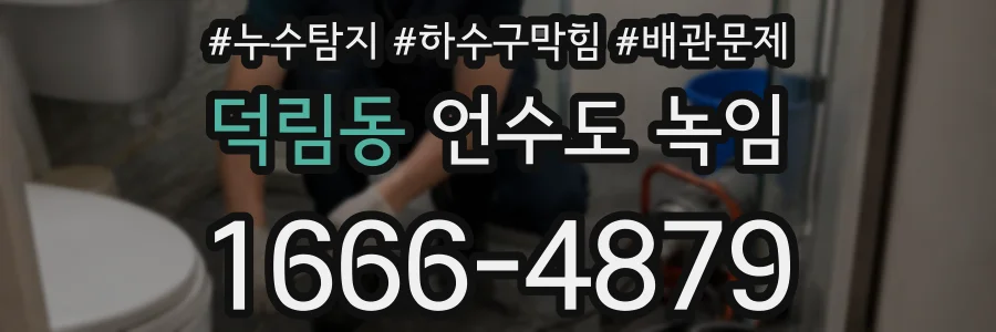 덕림동 언수도 녹임