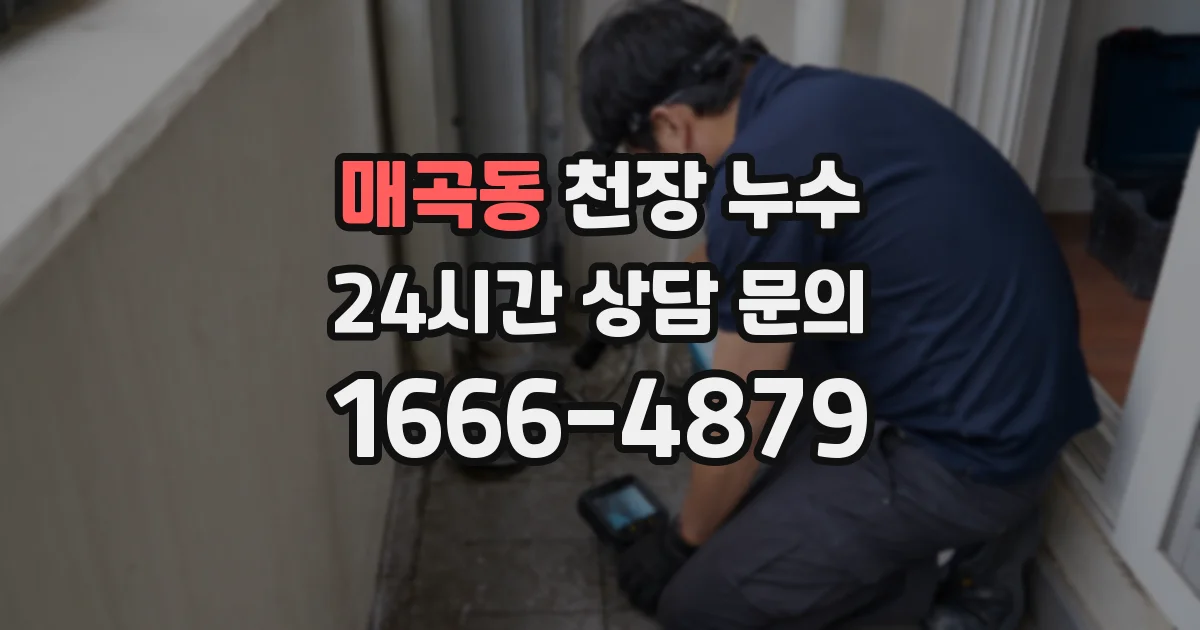 매곡동 천장 누수