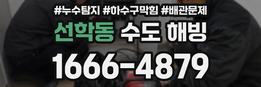 선학동 수도 해빙