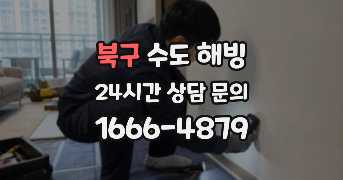 북구 수도 해빙