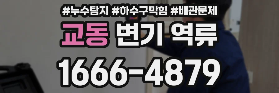 교동 변기 역류