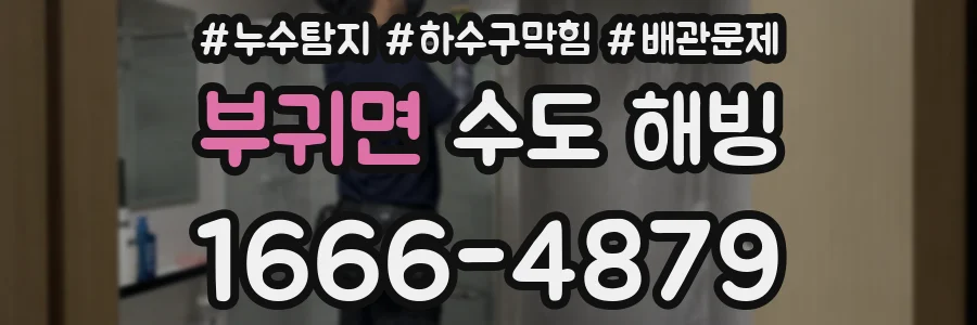 부귀면 수도 해빙