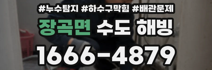 장곡면 수도 해빙