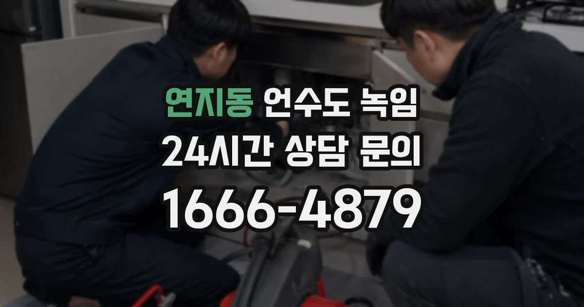 연지동 언수도 녹임