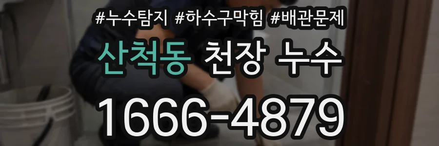 산척동 천장 누수