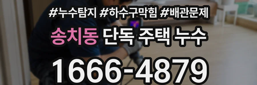 송치동 단독 주택 누수