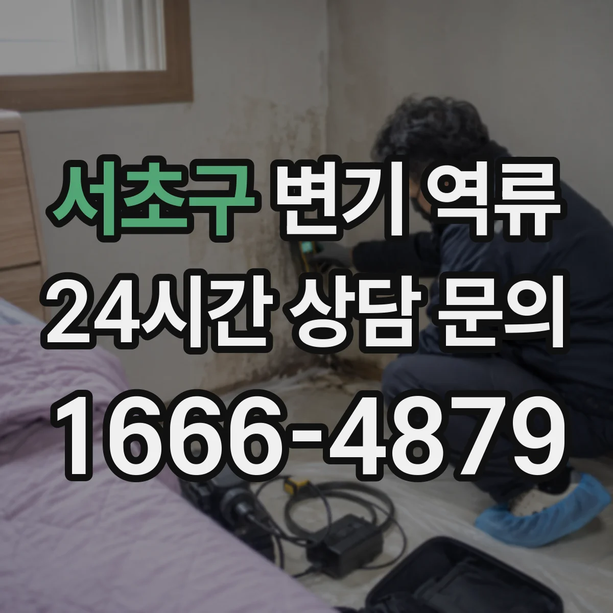 서초구 변기 역류