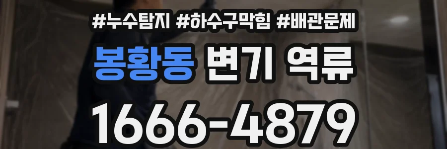 봉황동 변기 역류