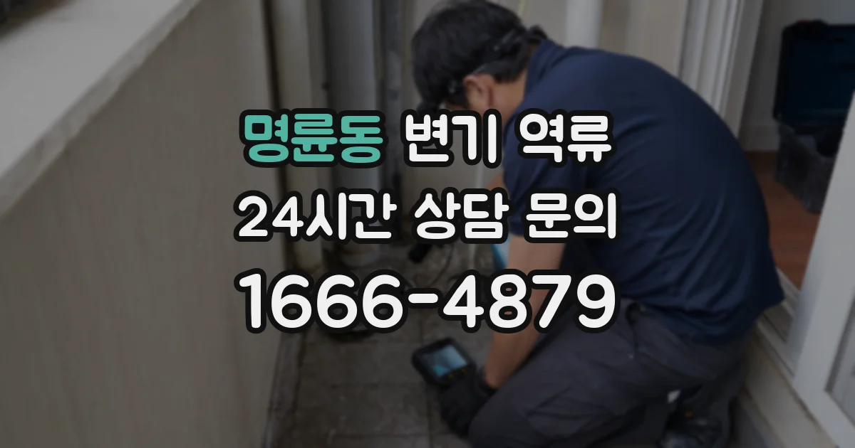 명륜동 변기 역류