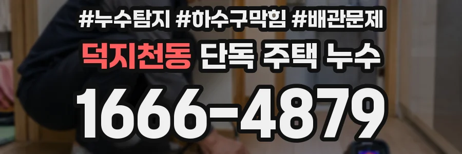 덕지천동 단독 주택 누수