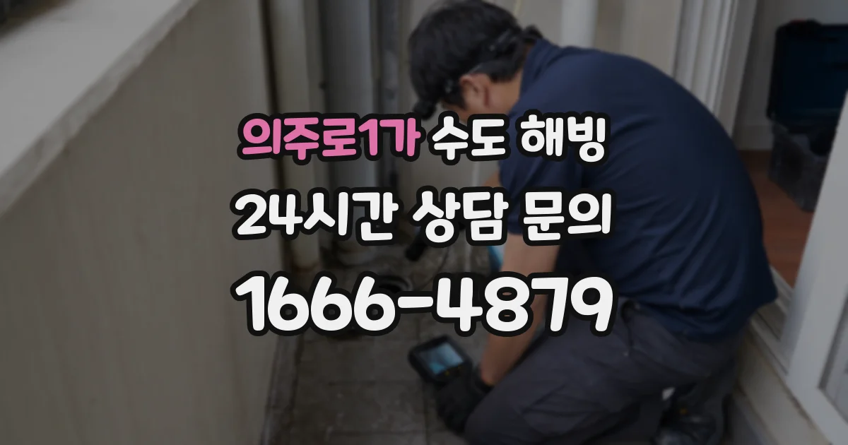 의주로1가 수도 해빙