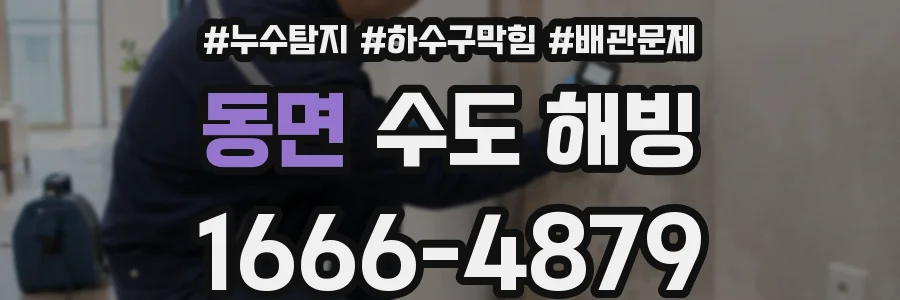 동면 수도 해빙