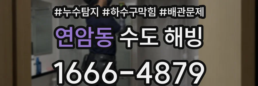 연암동 수도 해빙